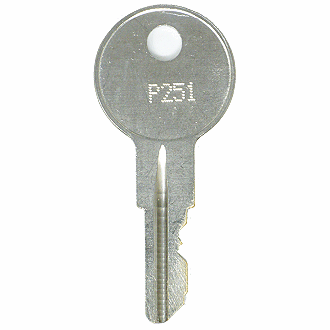 Briggs & Stratton P251 - P450 - P393 Replacement Key