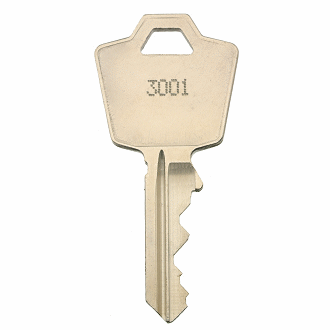 ESP 3001 - 3144 - 3118 Replacement Key