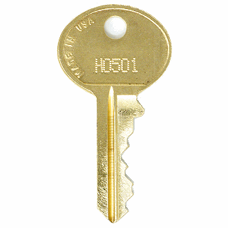 Hudson H0501 - H1000 - H0555 Replacement Key