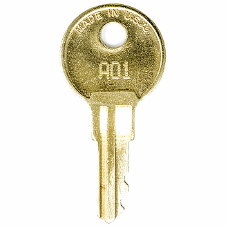 TS Shed A01 - A100 - A37 Replacement Key