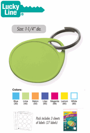 Lucky Line Label-It Key Tags with Labels - SKU: 250