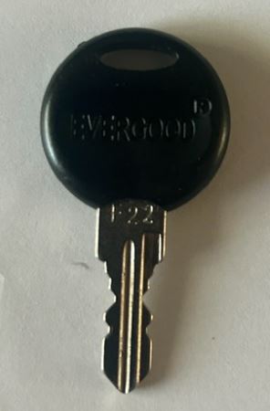 KEY - RICHELIEU - EVERGOOD / RICHELIEU / PACMAN / ALERA / OFFICEWORKS / POPPIN / SANDUSKY (INSTACODE / GCODE 22) | DOUBLE-SIDED CUT KEY | OFFICE FURNITURE, TOOLBOX, MAILBOX, UTILITY LOCKS more images